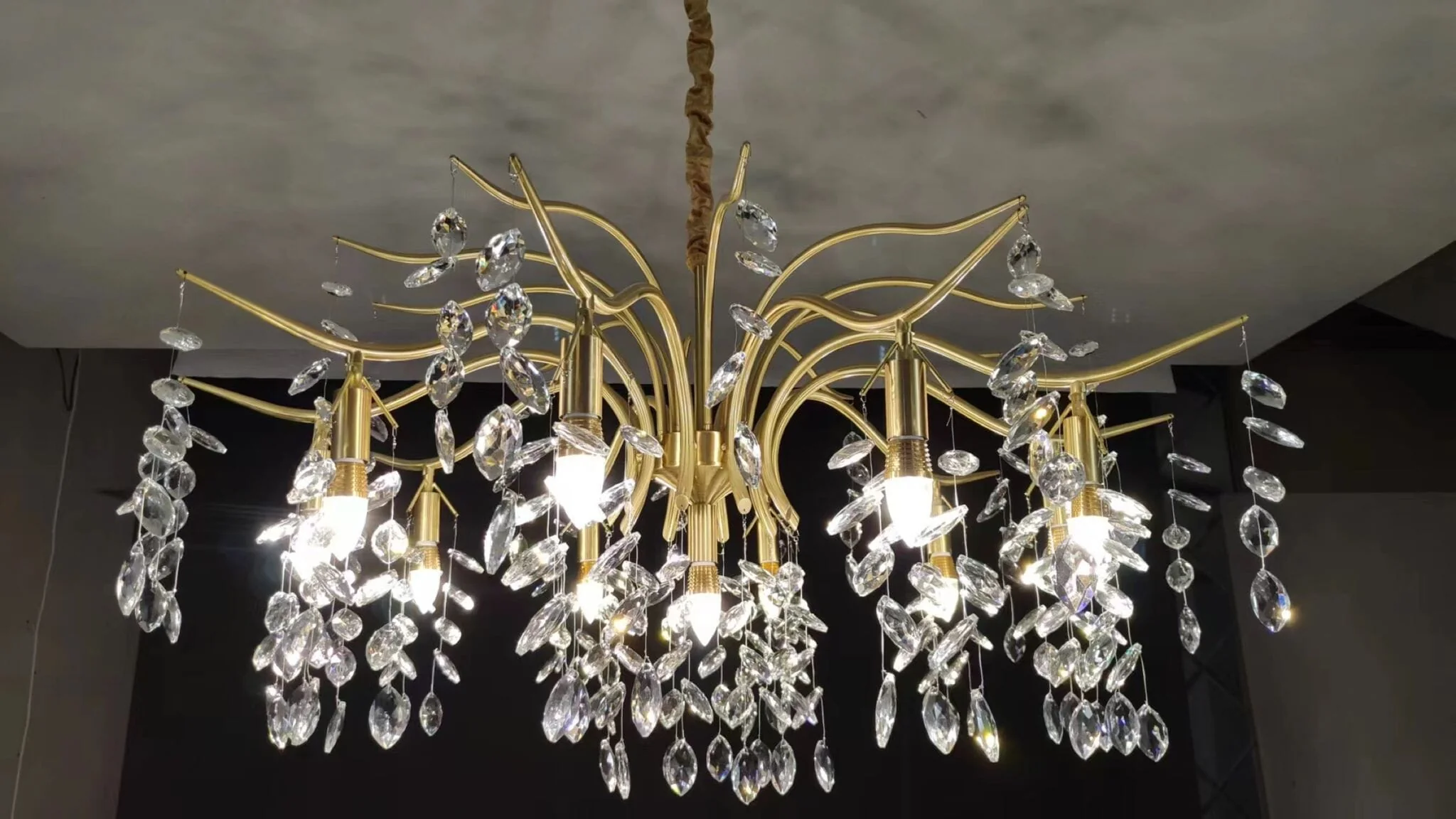 Waltz Crystal Chandelier - Image 19