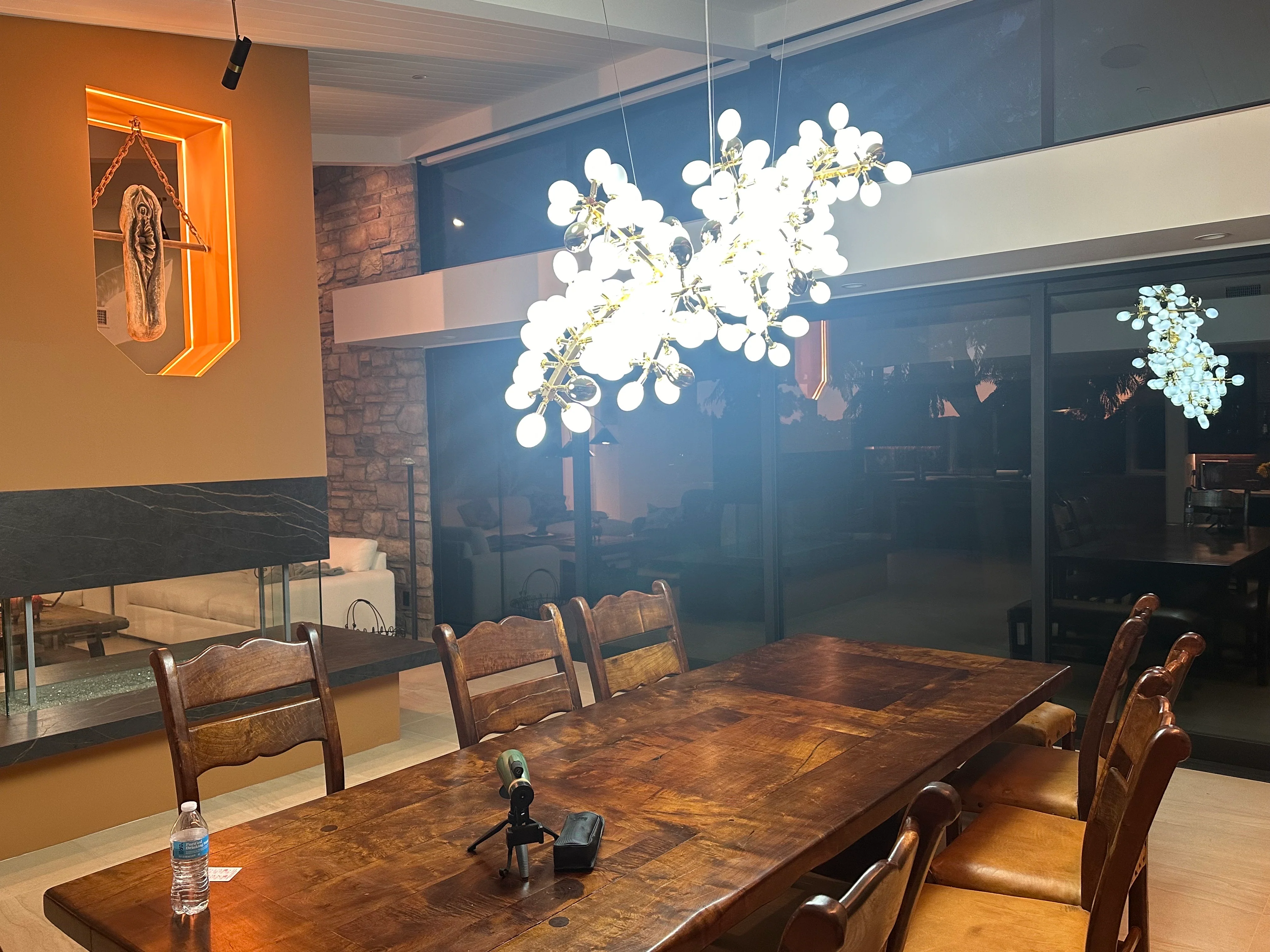 Golden Grape Vine Chandelier - Image 14