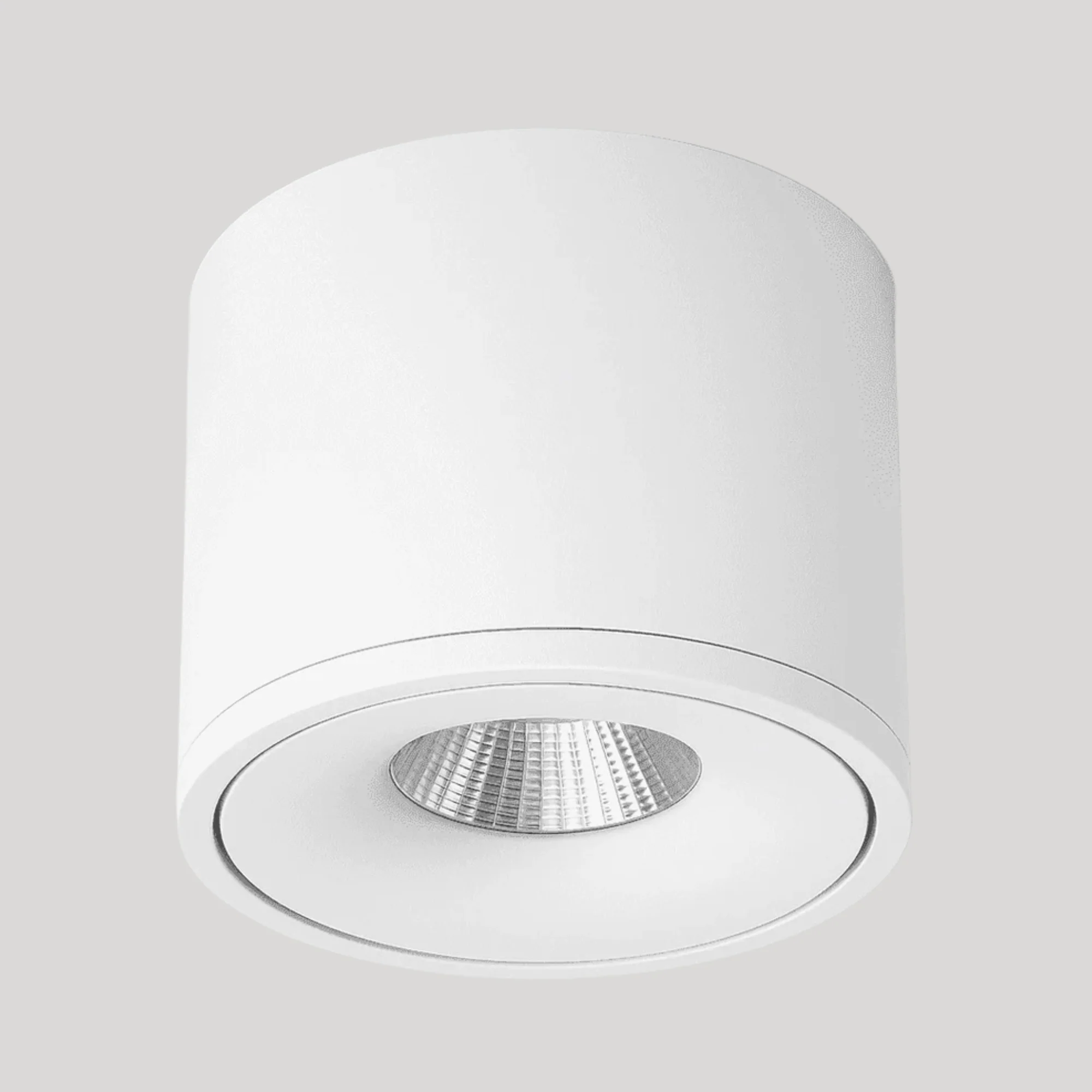 Janora Spotlight