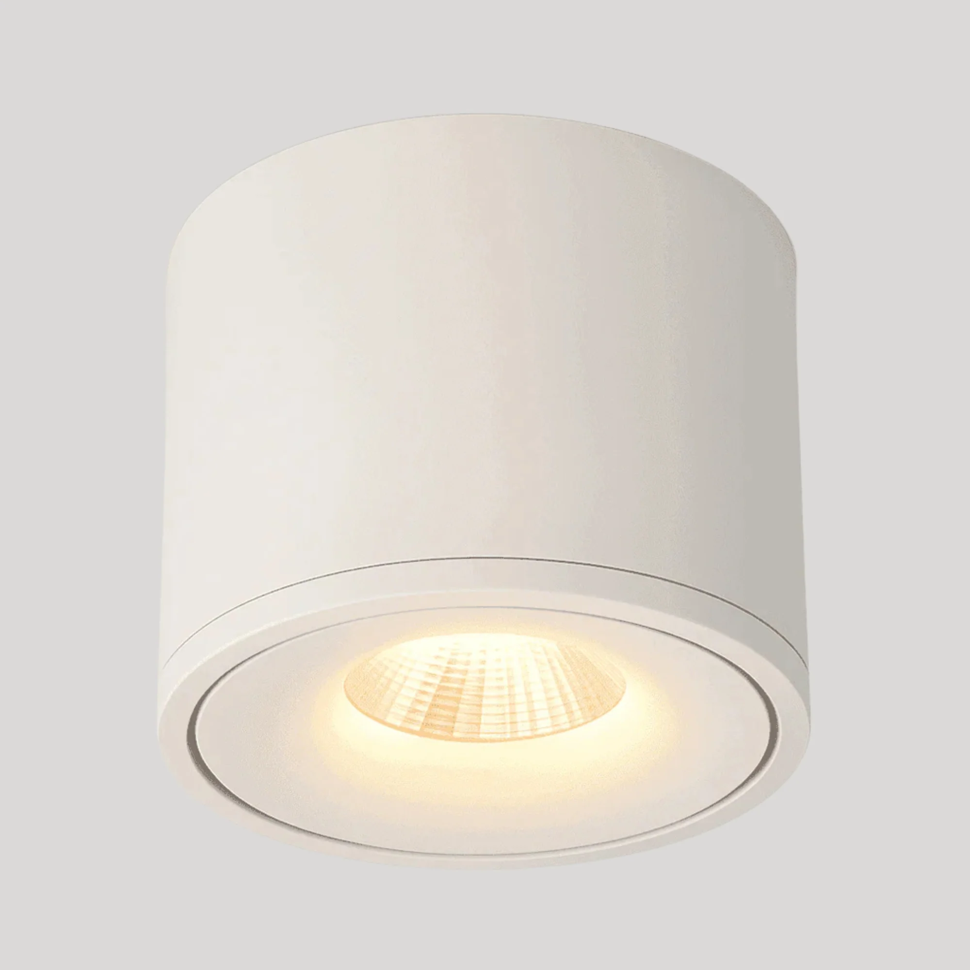 Janora Spotlight - Image 2