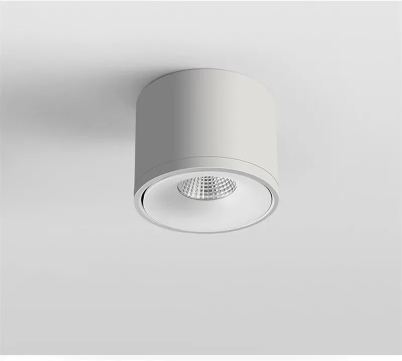 Janora Spotlight - Image 3