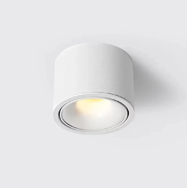 Janora Spotlight - Image 5