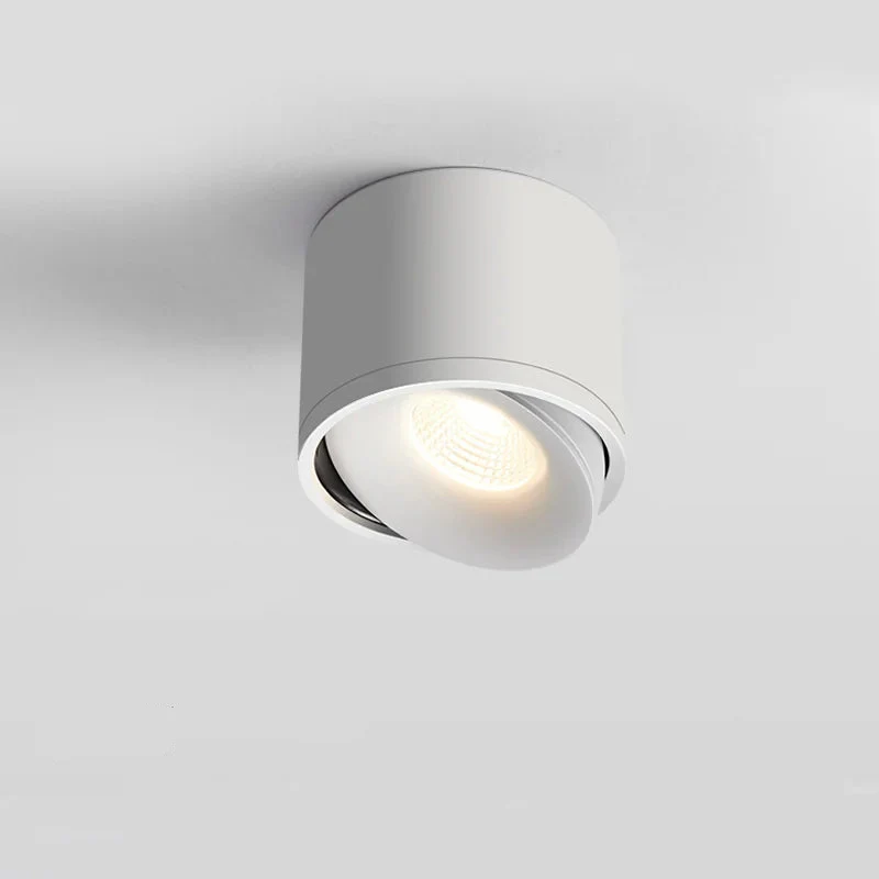 Janora Spotlight - Image 6