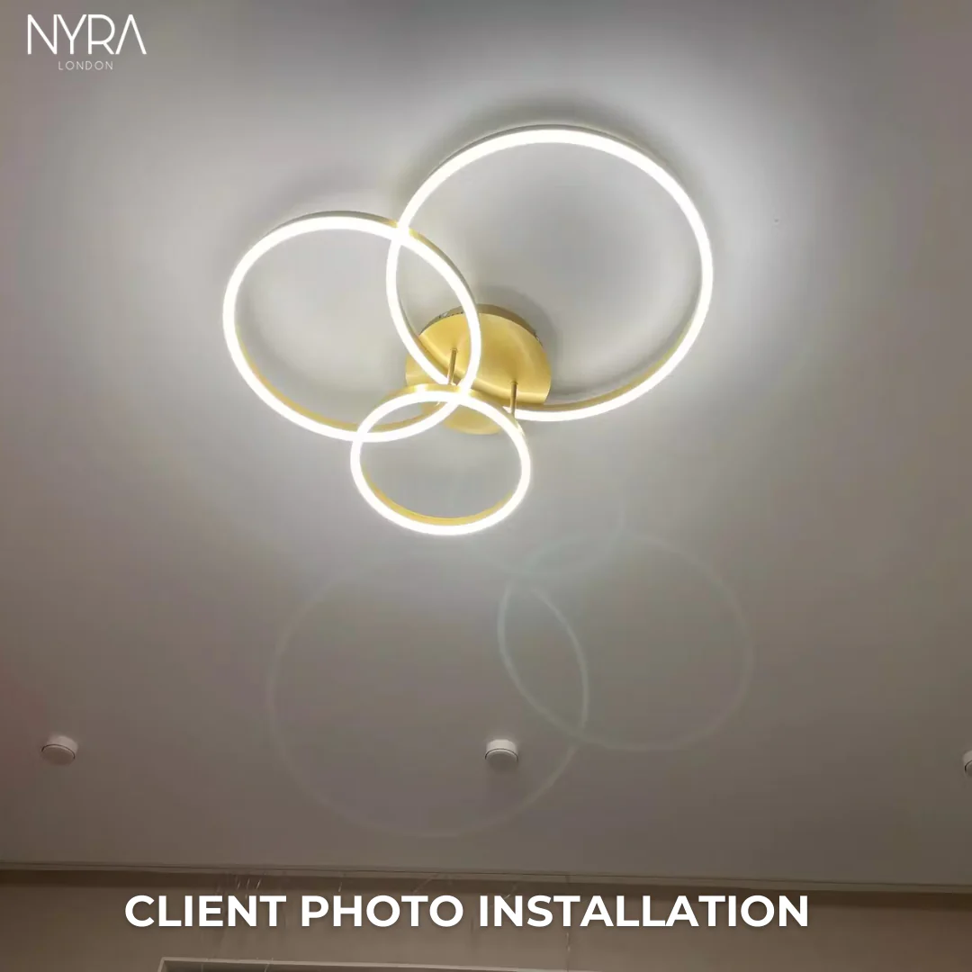 Carly Ring Chandelier - Image 8