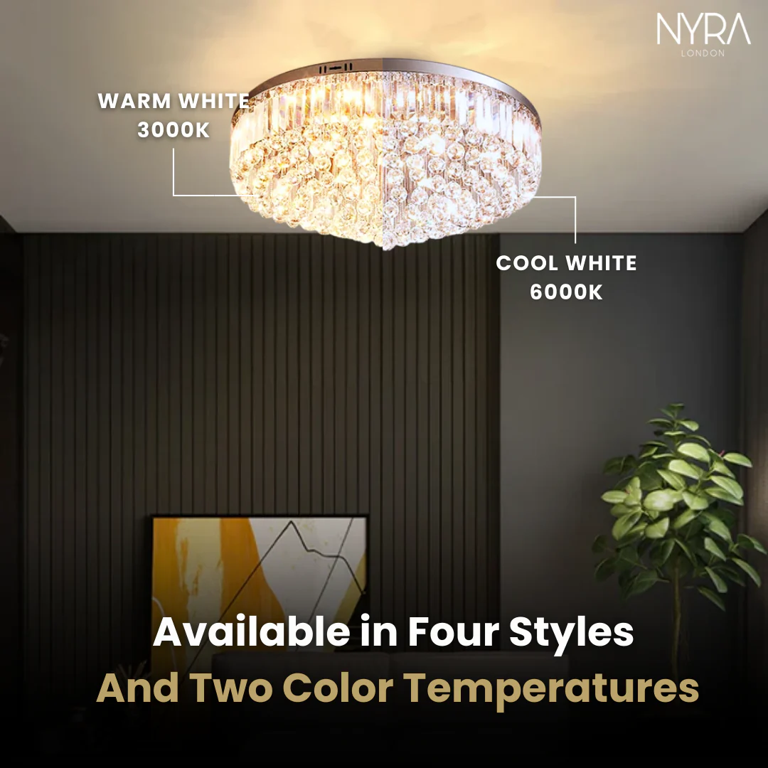 Eva Ceiling Light - Image 6