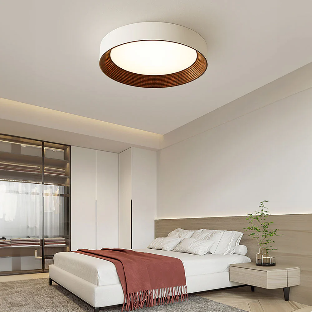 Minimal Luxe Ceiling Light - Image 2