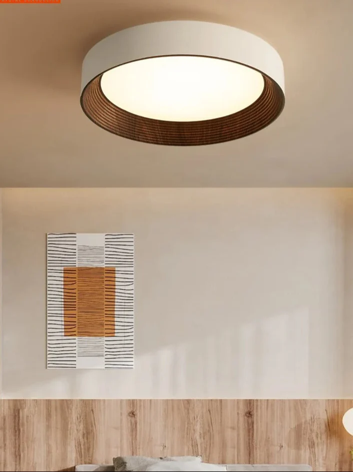 Minimal Luxe Ceiling Light - Image 7