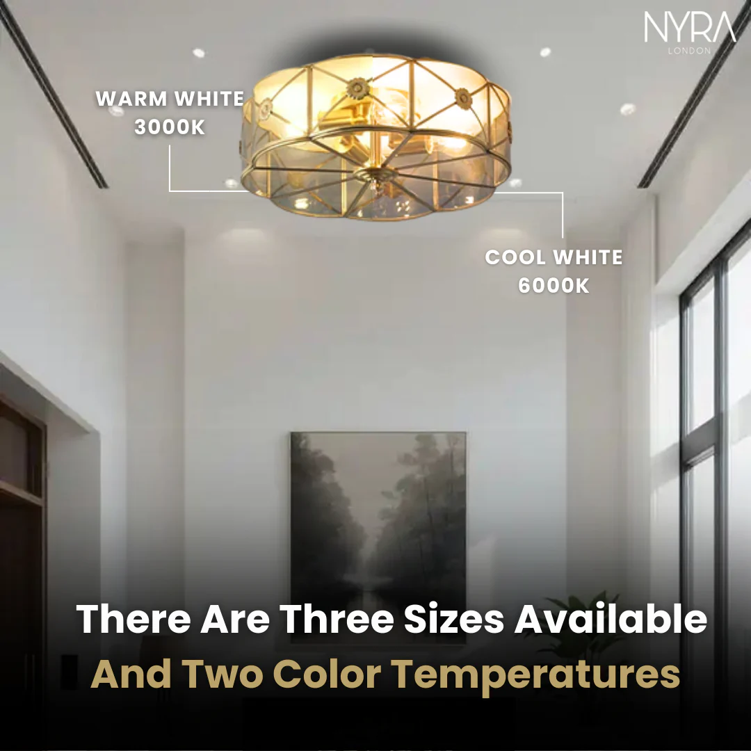 Norwood Chandelier - Image 5