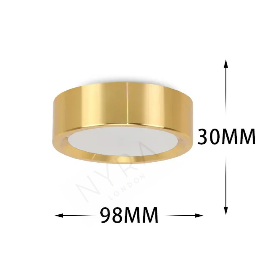 Orimex Ceiling Spot Light - Image 8