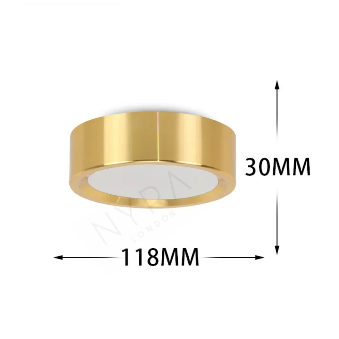 Orimex Ceiling Spot Light - Image 9
