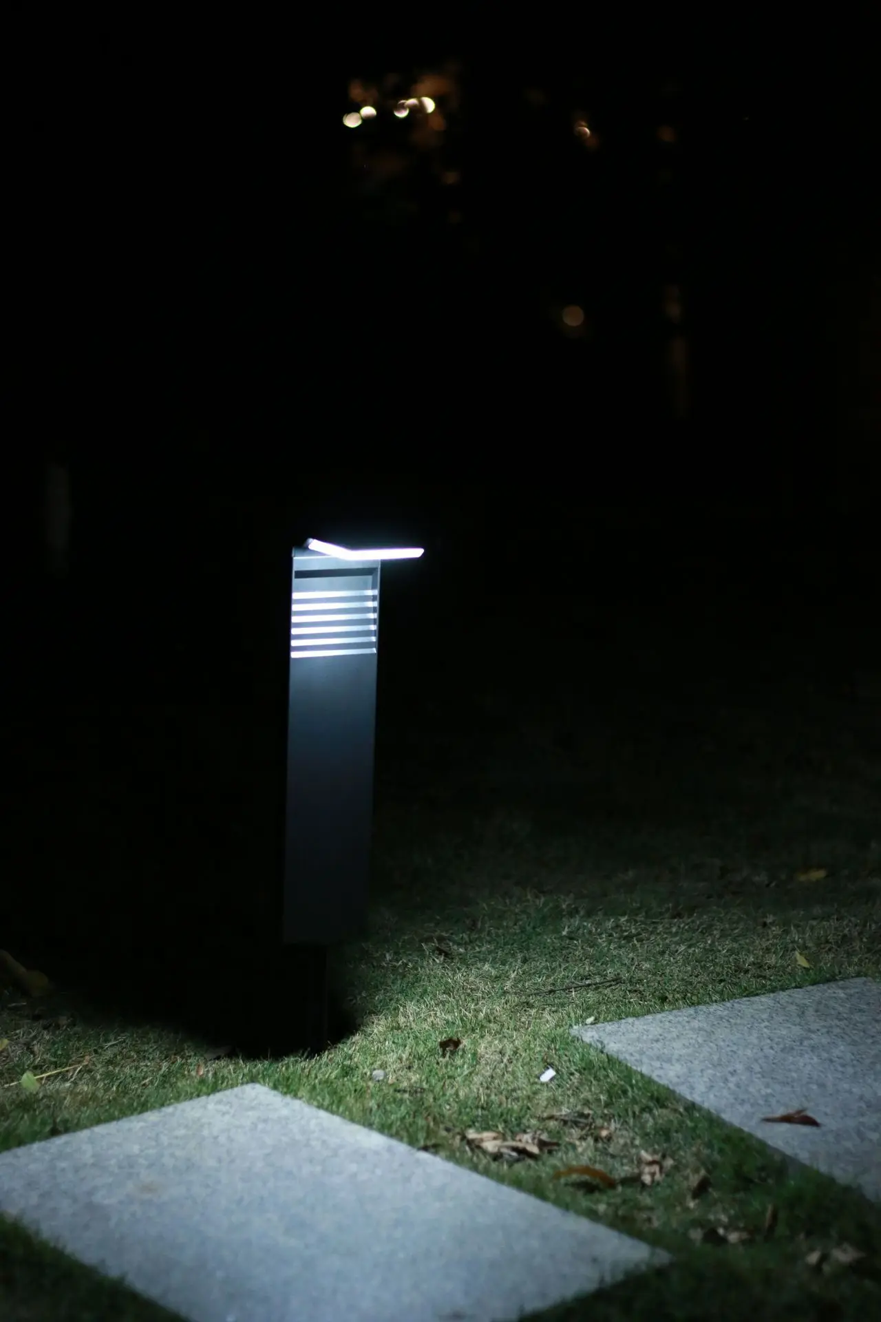 George Garden Lights - Image 8