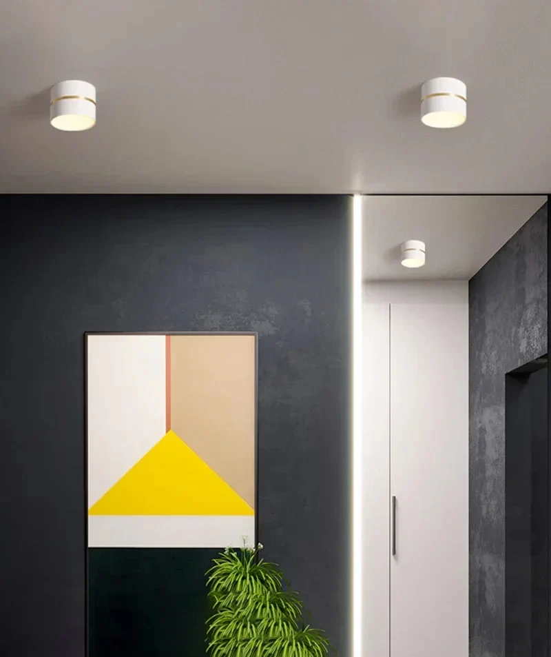 Ravea  Downlights - Image 11