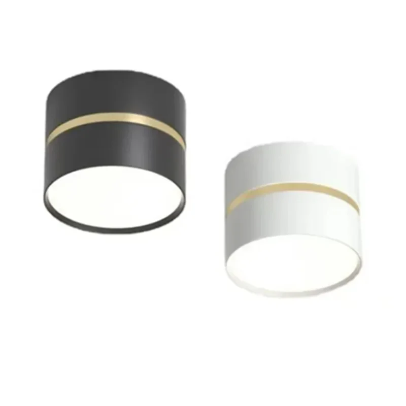 Ravea  Downlights - Image 13