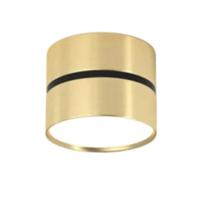 Ravea  Downlights - Image 14