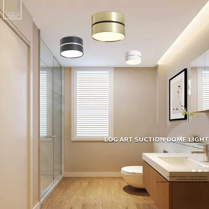 Ravea  Downlights - Image 4