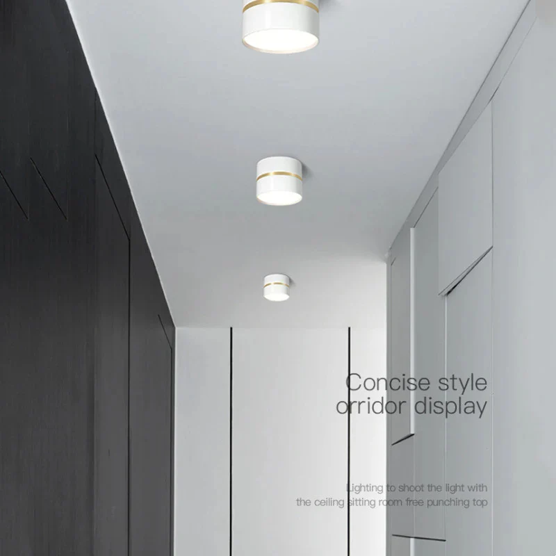 Ravea  Downlights - Image 6