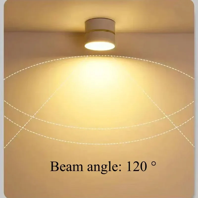Ravea  Downlights - Image 7