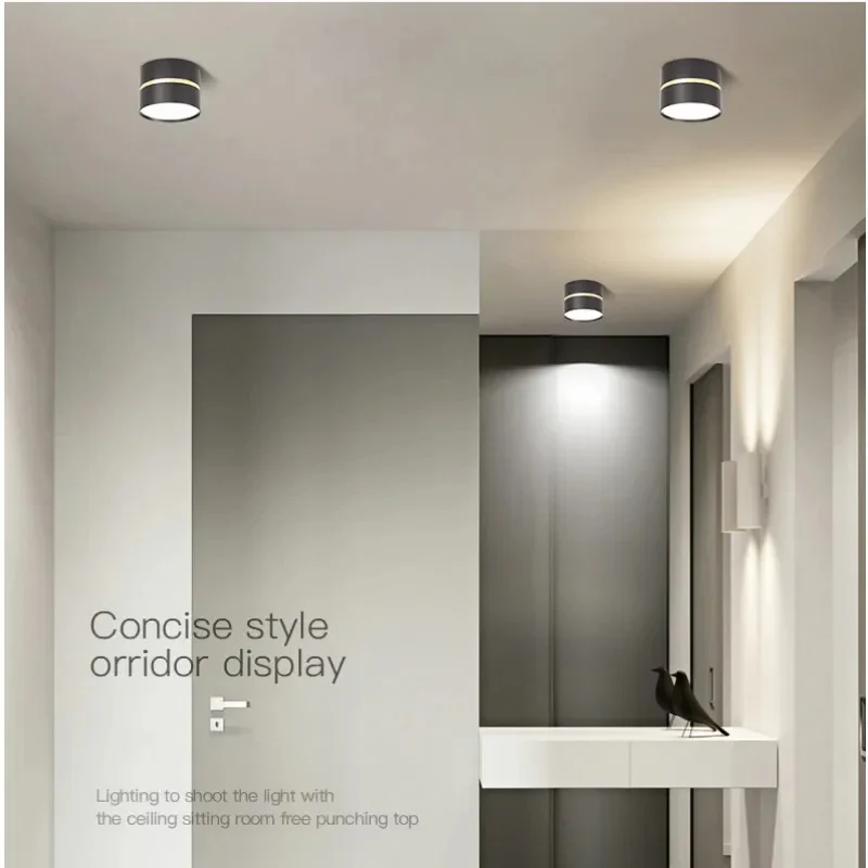 Ravea  Downlights - Image 8