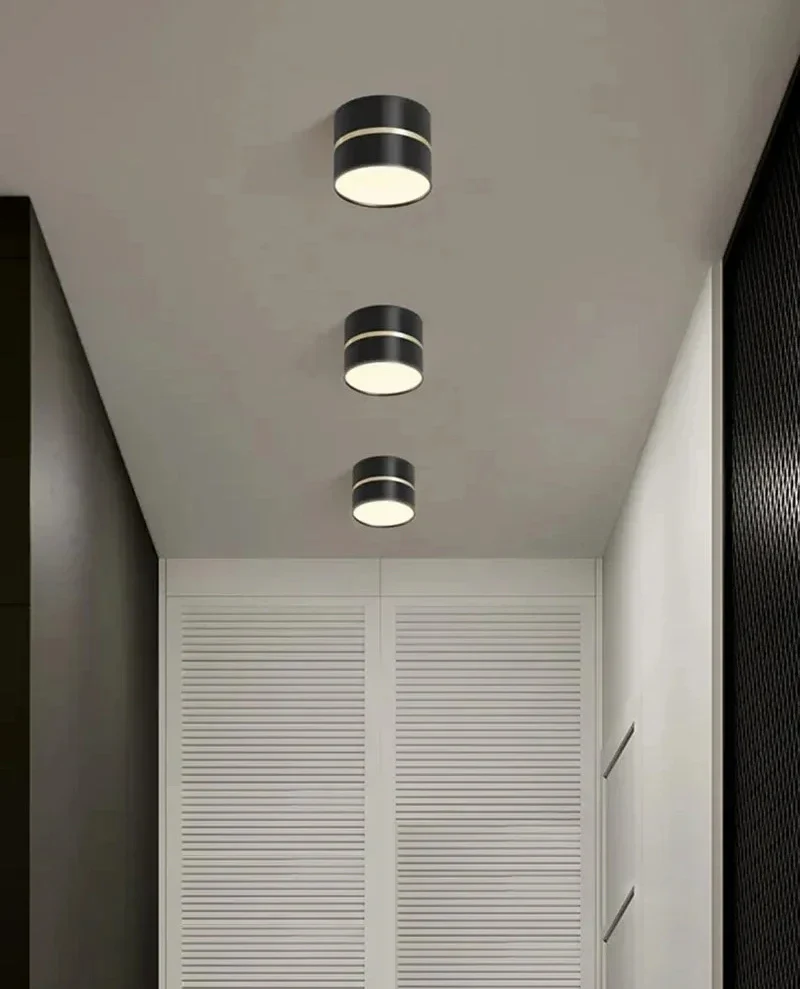 Ravea  Downlights - Image 9