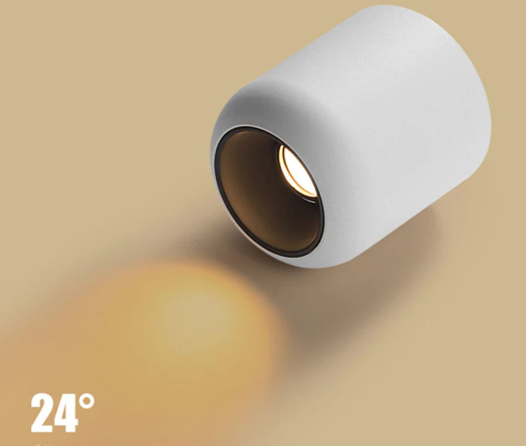 Rosavel Spotlight - Image 8