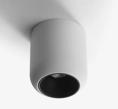 Rosavel Spotlight - Image 9
