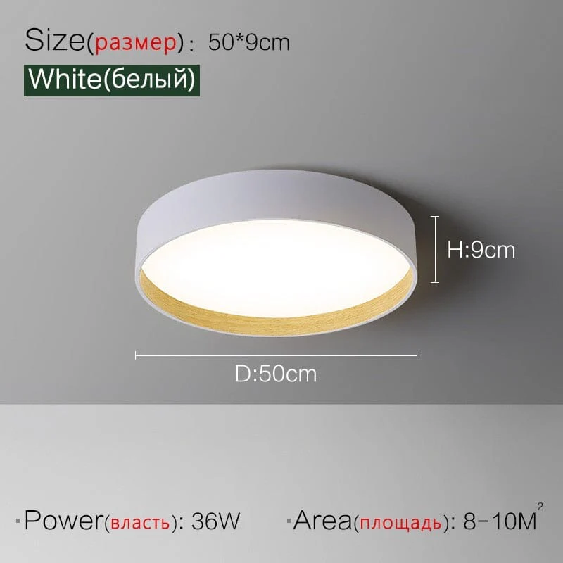 Skylar ceiling lamps set of 2 - Image 4