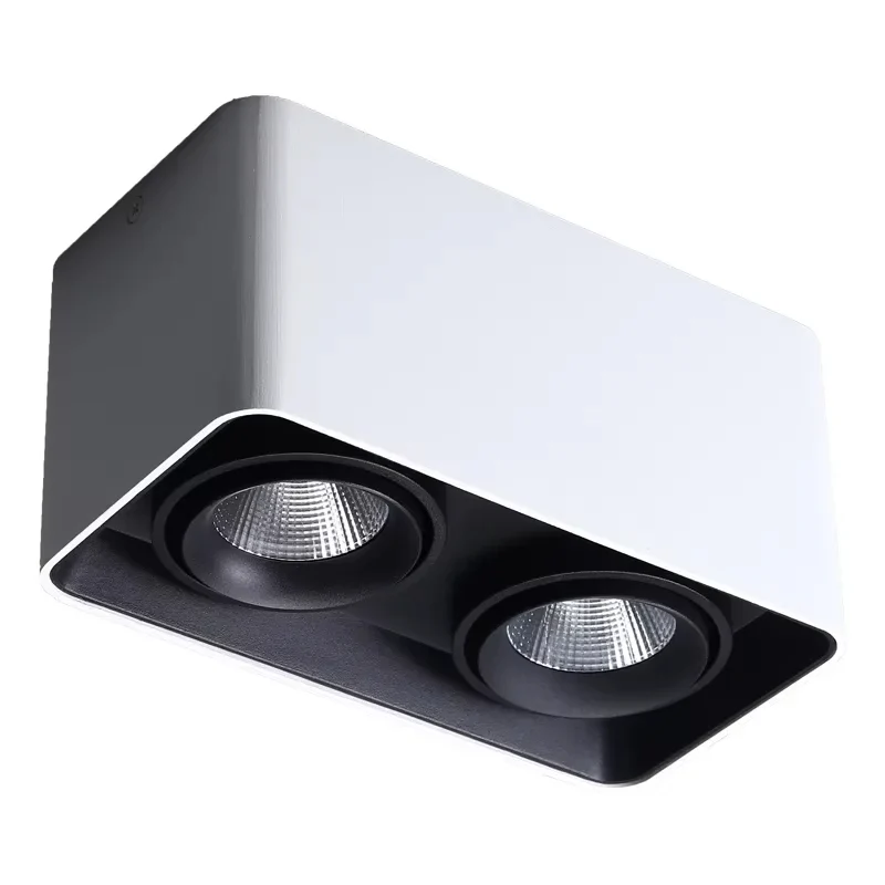 Verlina Downlight - Image 16