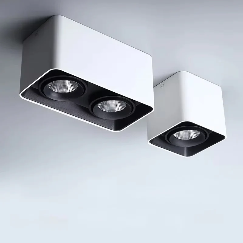 Verlina Downlight - Image 17