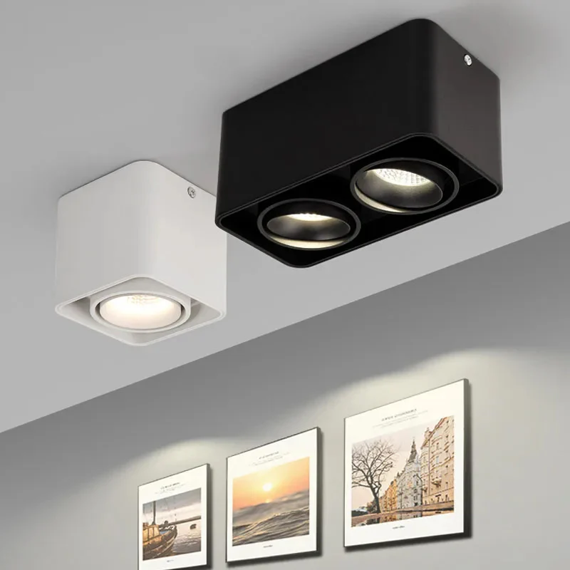 Verlina Downlight - Image 19
