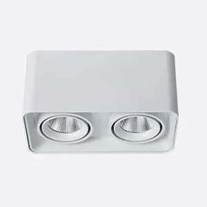 Verlina Downlight - Image 20