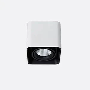 Verlina Downlight - Image 21