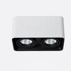 Verlina Downlight - Image 22