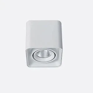 Verlina Downlight - Image 25