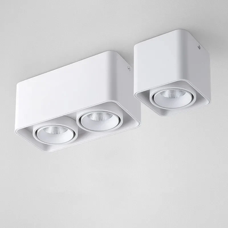Verlina Downlight - Image 4